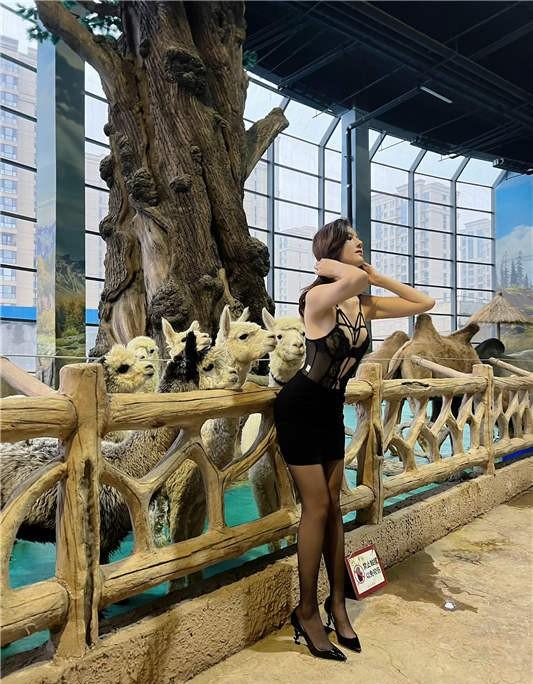 就是阿朱啊 – 微密圈 对动物下手 [11P/1V/19MB]